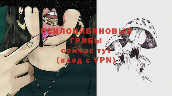 прущие грибы Абдулино