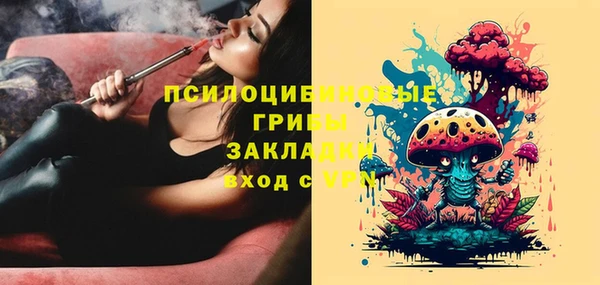 mix Абаза