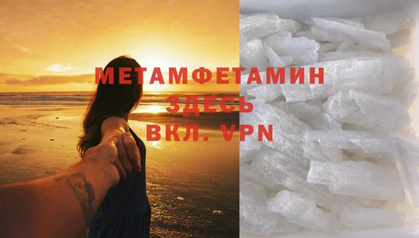 прущие грибы Абдулино