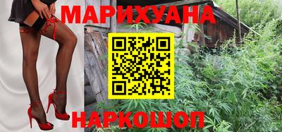 крисы Краснознаменск