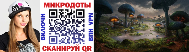 Псилоцибиновые грибы Cubensis Кашира