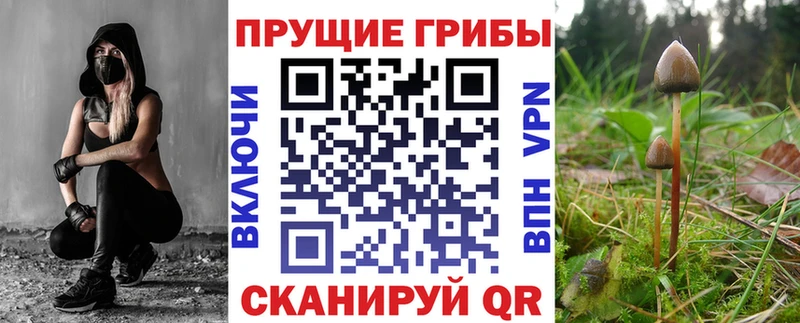 Галлюциногенные грибы MAGIC MUSHROOMS  Кашира 