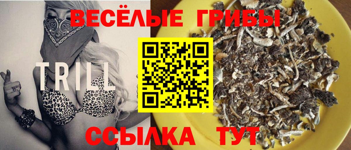 Псилоцибиновые грибы Magic Shrooms  Вход с VPN  Галлюциногенные грибы ЛСД  Кашира 